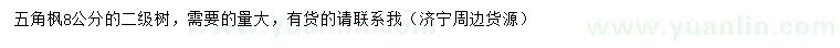 求購(gòu)8公分五角楓