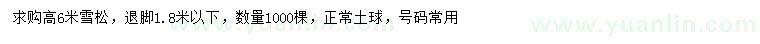 求購高6米雪松