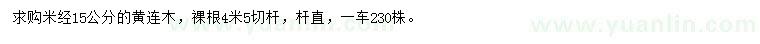 求購米經(jīng)15公分黃連木