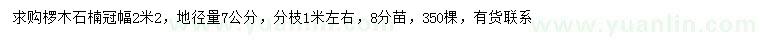 求購冠幅2.2米欏木石楠