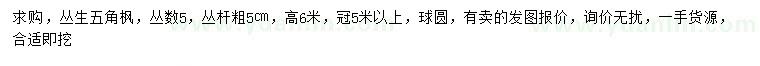 求購高6米叢生五角楓