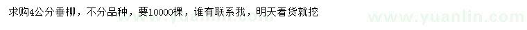 求購(gòu)4公分垂柳