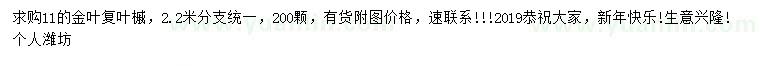 求購(gòu)11公分金葉復(fù)葉槭