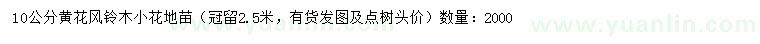 求購10公分黃花風(fēng)鈴木