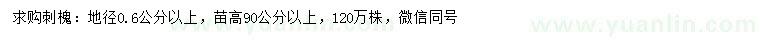 求購(gòu)地徑0.6公分以上刺槐