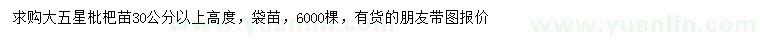 求購30公分以上大五星枇杷