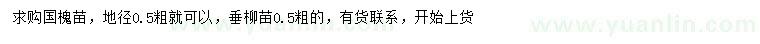 求購地徑0.5公分國槐