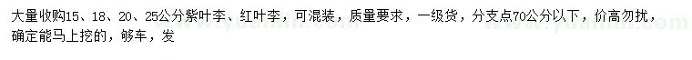 求購15、18、20、25公分紫葉李、紅葉李