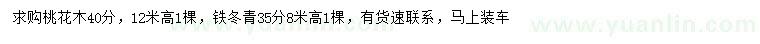 求購40公分桃花木、35公分鐵冬青