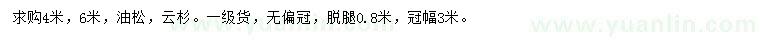 求購4、6米油松、云杉