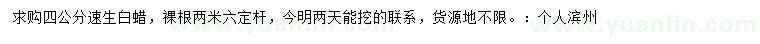 求購4公分速生白蠟