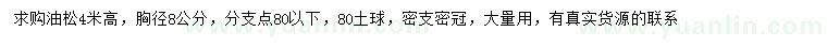 求購(gòu)高4米油松