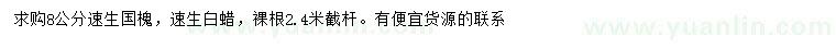 求購(gòu)8公分速生國(guó)槐、速生白蠟