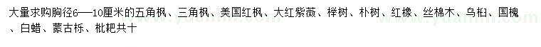 求購五角楓、三角楓、美國紅楓等