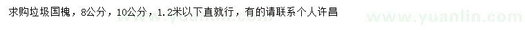 求購8、10公分國槐