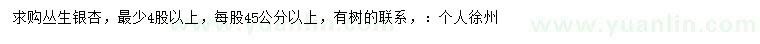 求購(gòu)叢生銀杏