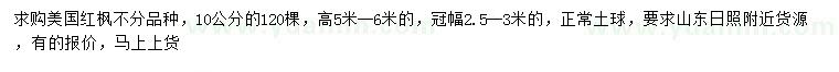 求購10公分美國紅楓