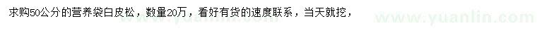 求購50公分白皮松