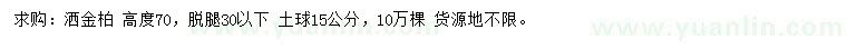 求購(gòu)高70公分灑金柏