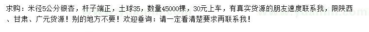 求購米徑5公分銀杏