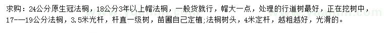 求購24公分原生冠法桐、17-19公分法桐