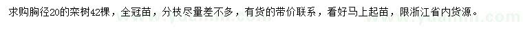 求購(gòu)胸徑20公分欒樹(shù)