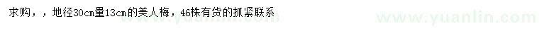 求購地徑30公分量13公分美人梅