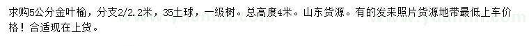 求購(gòu)5公分金葉榆