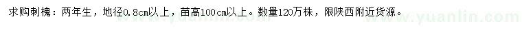 求購(gòu)2年生刺槐