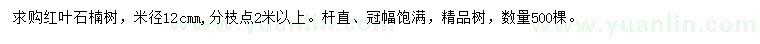 求購米徑12公分紅葉石楠