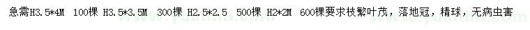 求購高度2.5、3.5米紅葉石楠球