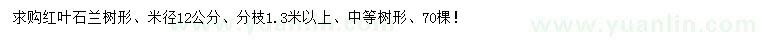 求購米徑12公分紅葉石蘭