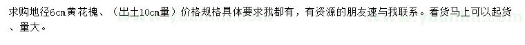 求購地徑6公分黃花槐