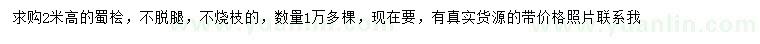 求購2米高蜀檜