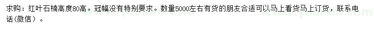 求購(gòu)高80公分紅葉石楠