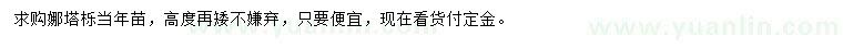 求購(gòu)娜塔櫟當(dāng)年苗
