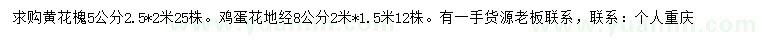求購5公分黃花槐、地徑8公分雞蛋花