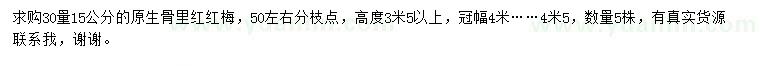 求購30量15公分紅梅