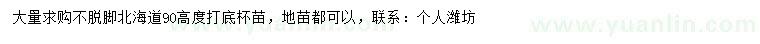 求購(gòu)90公分高度打底北海道黃楊