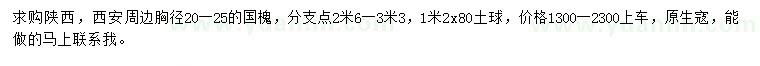 求購胸徑20-25公分國槐