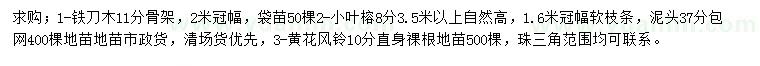 求購鐵刀木、小葉榕、黃花風鈴