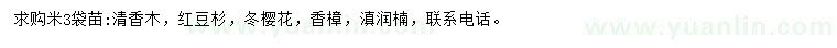 求購清香木、紅豆杉、櫻花等