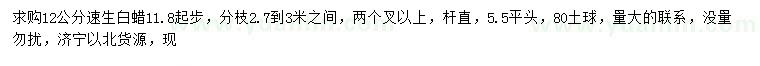 求購12公分速生白蠟