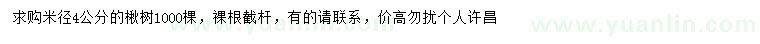 求購米徑4公分楸樹