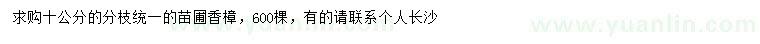 求購(gòu)10公分香樟