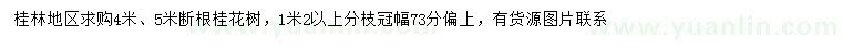 求購4、5米斷根桂花樹