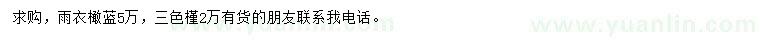 求購雨衣橄藍(lán)、三色槿
