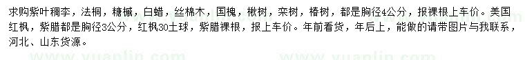 求購胸徑4公分紫葉稠李、法桐，糖槭等