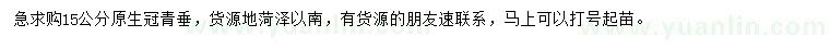 求購15公分原生冠青垂柳
