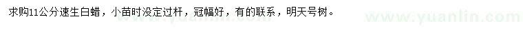 求購11公分速生白蠟